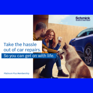 Schmick Scratch & Dent Assist 2 year Membership